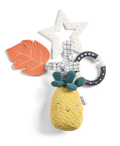 Wildly Adventures Educational Teething Toy - Linkie Pineapple