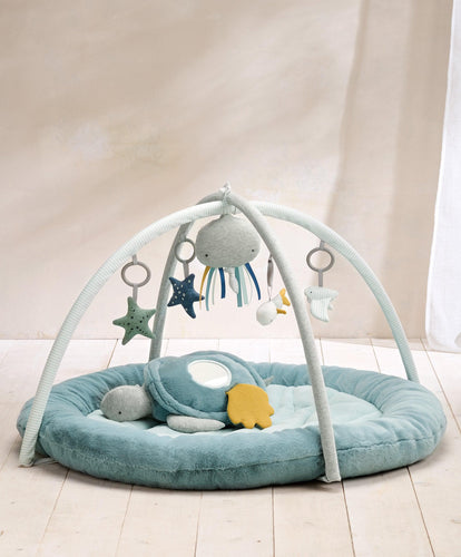 Playmat & Gym -Welcome to the World Blue